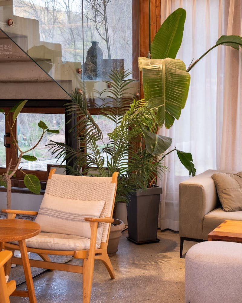 Living collection — solid-wood furniture